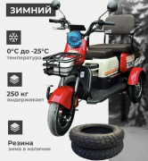 Электротрицикл ElectroTrike Бумеранг Pro Красный